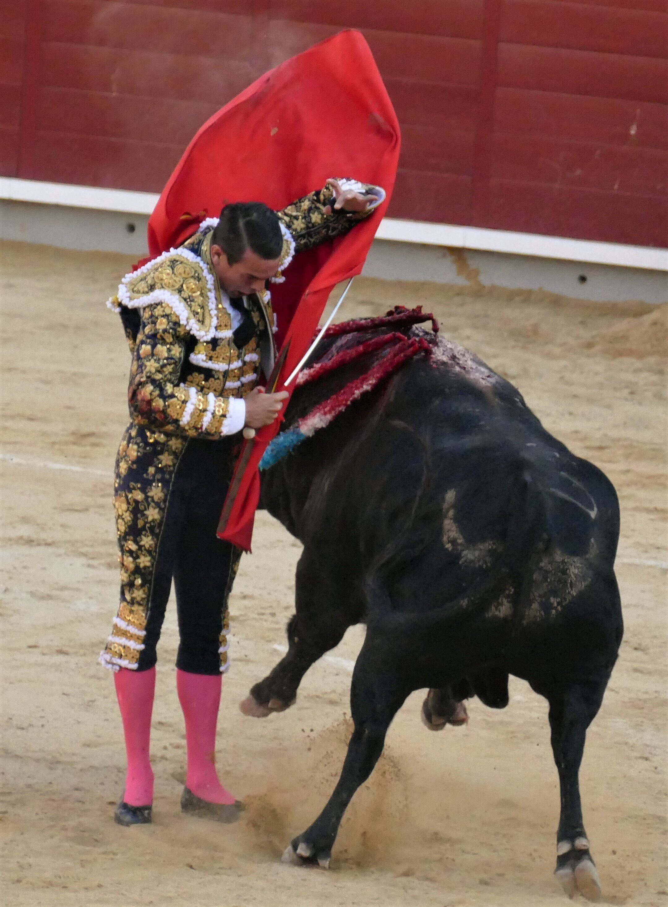 Albacete Sept.10: Disastrous bulls from Daniel Ruiz — toros:toreros